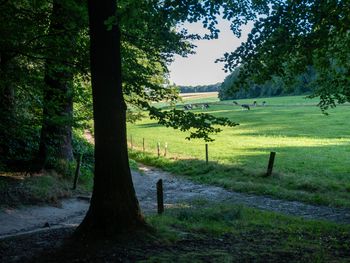 4 Tage ganz in der Nähe zur deutschen Grenze