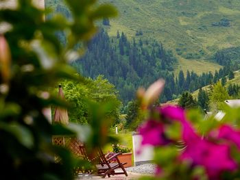 6 Tage Wellness & coole Aktivitäten im Pitzal