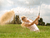 5T/4N 2024 Schwarzbachtal Golfpackage 