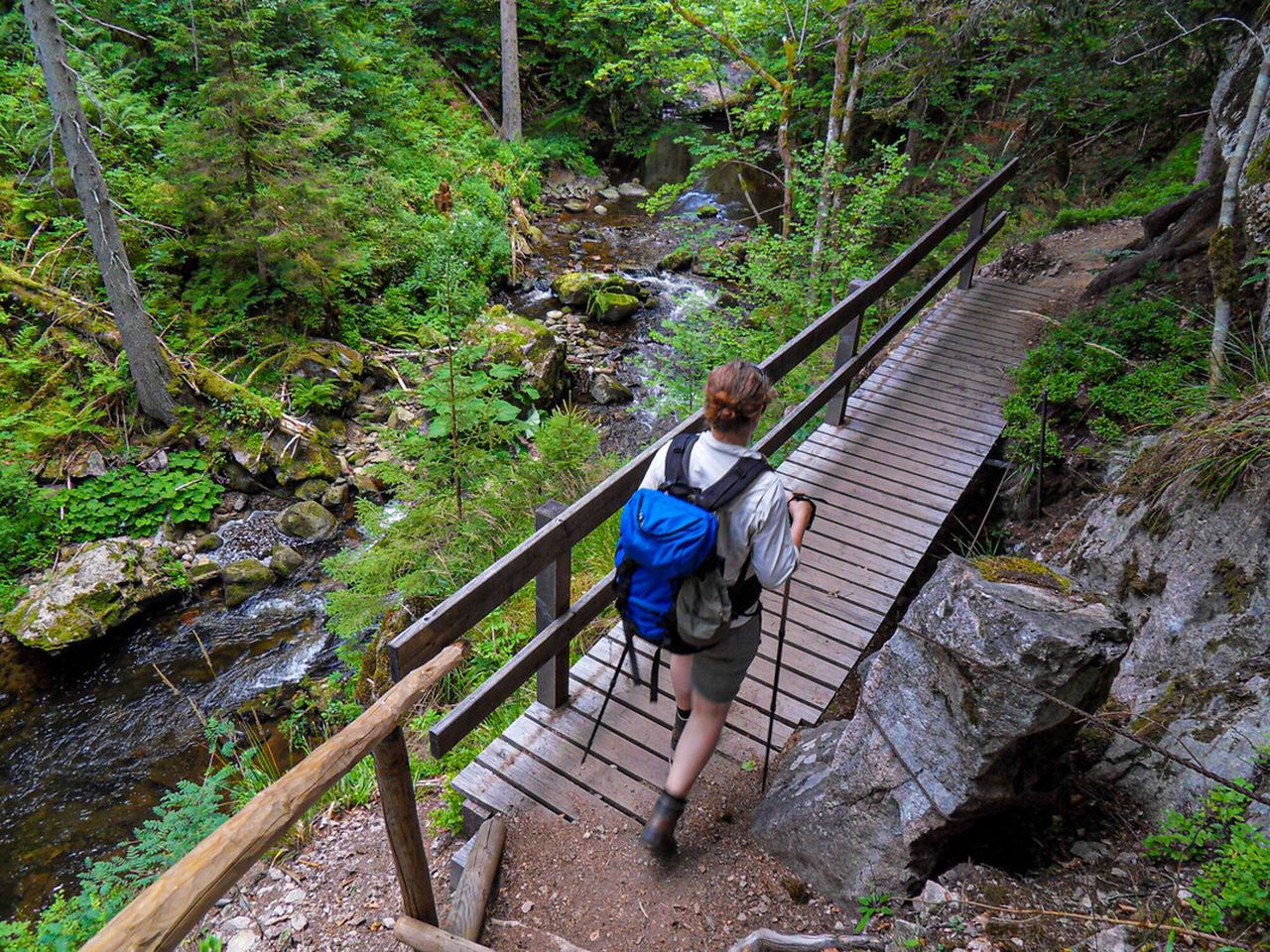 2 Tage Südschwarzwald: Naturparadies & Genuss