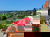Urlaub mit Hund im Schwarzwald I 6 Tage