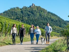 Wandern in 4 Jahreszeiten im Schwarzwald - 5 Tage