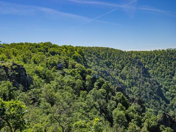 Harzer Urlaubswoche - 8 Tage Rundum Sorglos