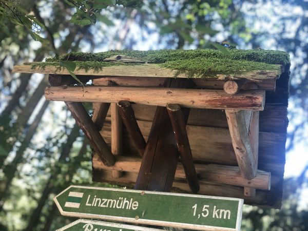 Wanderbursche – Das Saaleland zu Fuß erleben in Kahla Halbpension