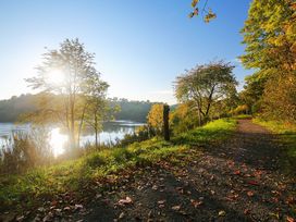 4 Kennenlerntage an der Mosel inkl. Wein & Gutschein Schiffsrundfahrt