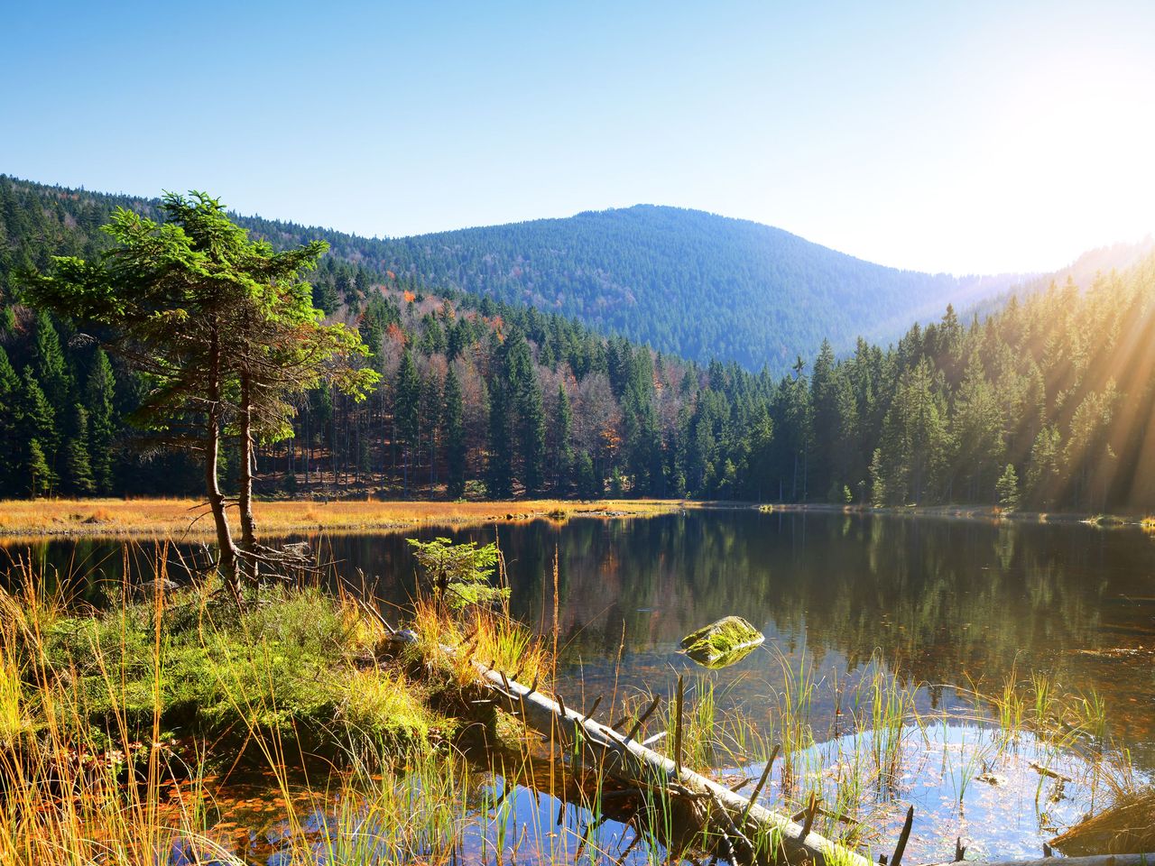 Familienurlaub im Bayerischen Wald - 3 Nächte