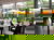 Wellness-Schnuppertag