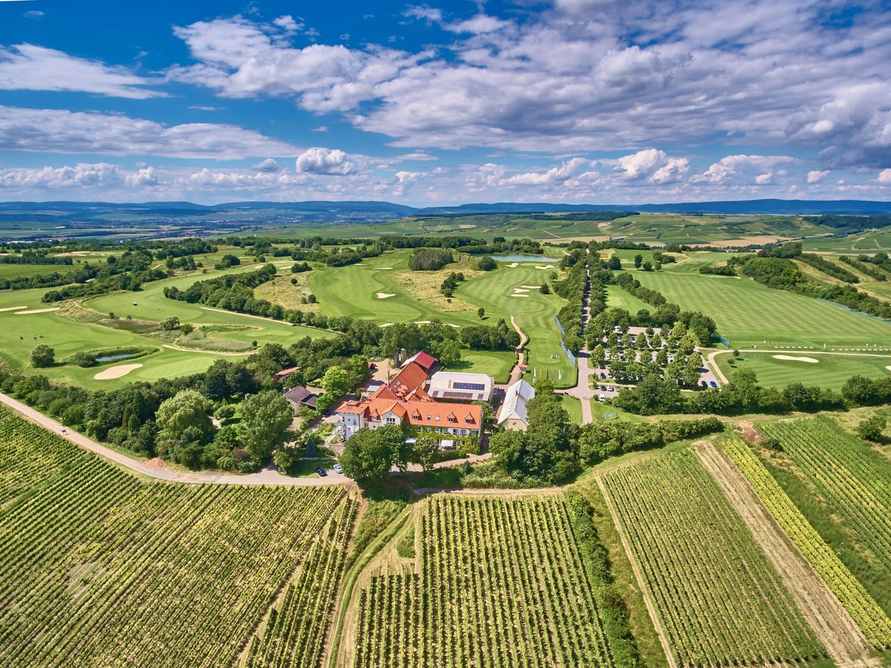 Winterliche Träumerei im Weinberg