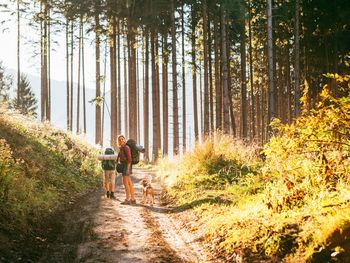 3 Tage Wandern im schönen rheinischen Schiefergebirge