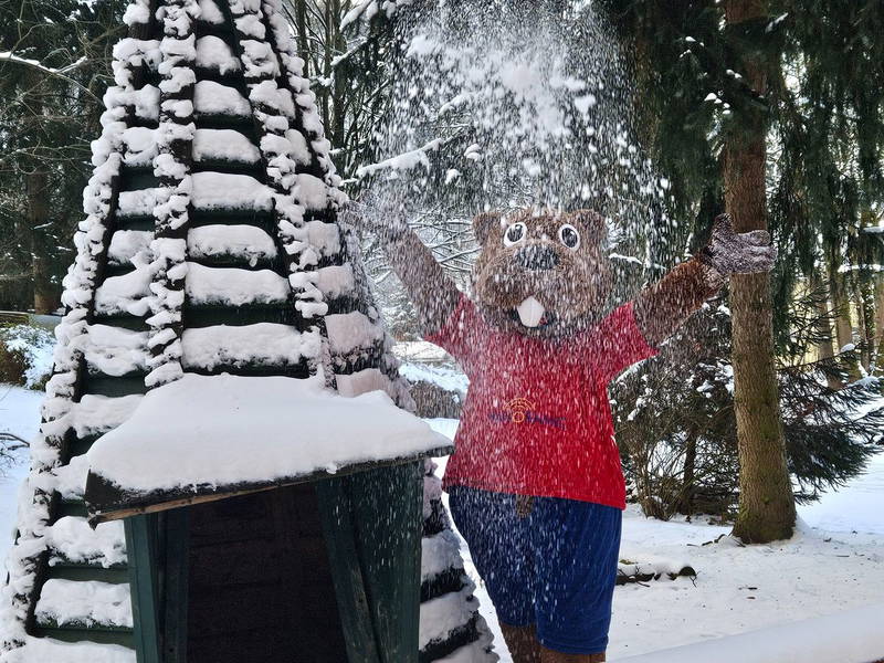 Last Minute Schnäppchen: Winterurlaub im Harz