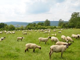 Jägerhof Wohlfühlwoche mit Thermenbesuch