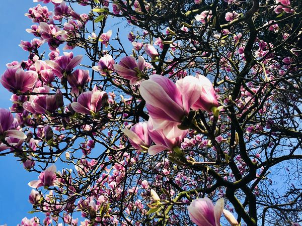 3 Tage Panoramahotel Gelderland – Natur & Auszeit pur in Berg en Dal inkl. Halbpension