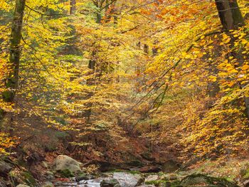 1 Woche Urlaub im Harz