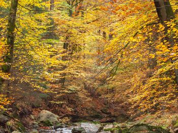 Bild 29 von 32