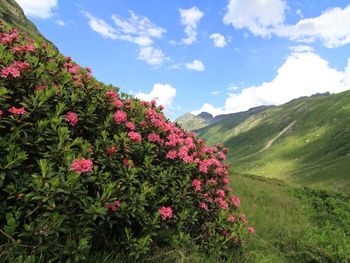 5 Tage Sommerauszeit im Berghotel auf über 1.500m