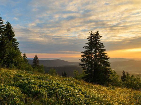 2 Tage Aktivurlaub zwischen Schwarzwald und Stuttgart in Herrenberg, Baden-Württemberg inkl. Halbpension