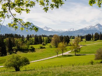 Bild 17 von 37