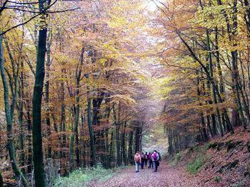 Schönes Wochenende im Hochsauerland mit HP