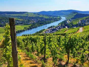 Bild 24 von 49