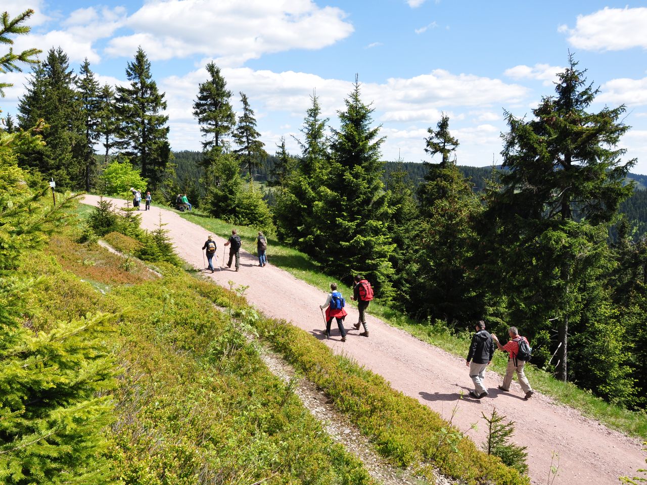 Genießen und Erleben - 2 Tage im Thüringer Wald