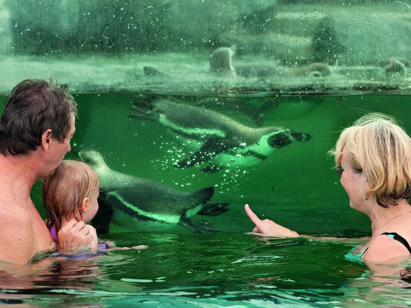 3 Familientage im Ferien Hotel Cottbus inkl. HP plus in Kolkwitz Halbpension Plus