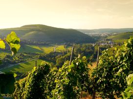 Kurzurlaub-Weekend im malerischen Ruwertal nahe Trier