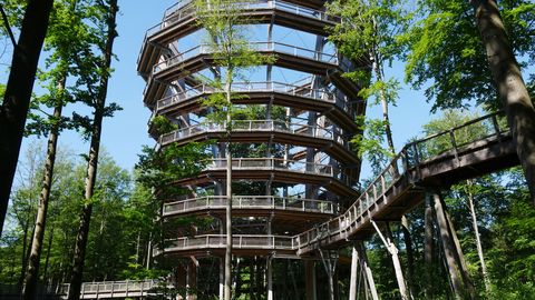 Baumwipfelpfad im Steigerwald