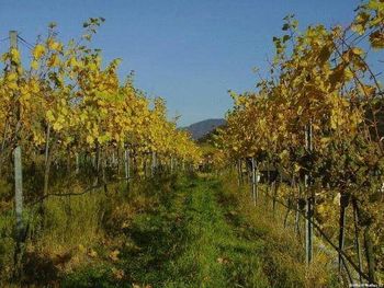 Bild 51 von 71