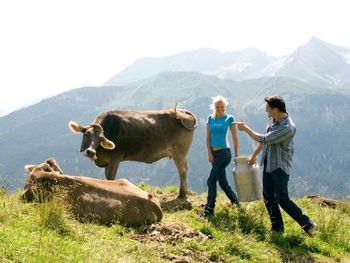 Entspannter Urlaub im Zillertal - 8 Tage