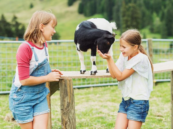 8 Tage Freizeitspaß mit Tiergarten-Besuch in Falkenstein/Vogtl., Sachsen inkl. Frühstück