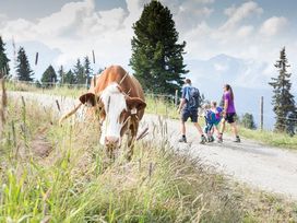 Dem Alltag entfliehen - 3 Nächte