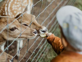 Familienauszeit im Tiergarten Ulm