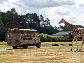 Serengeti Park Hodenhagen mit Hotel