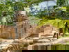 6 Tage am Wildlands Zoo – City & Tierwelt erleben