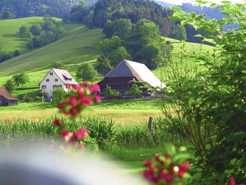 Einfach mal weg - 2 Tage im Hochschwarzwald