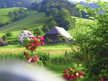 Alltagsrast im Tannhof - 4 Tage im Schwarzwald