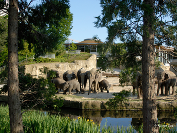 Kölner Zoo