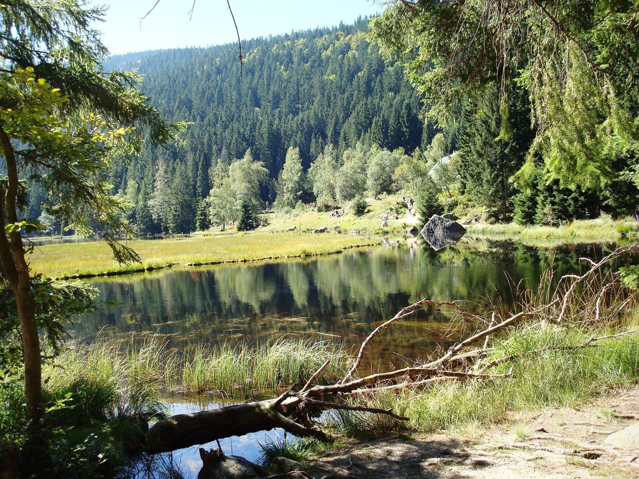 Landesgartenschau 2025 - Bayerischer Wald