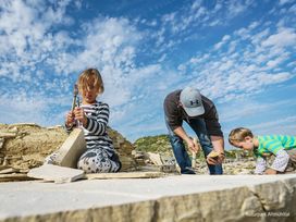 3 Tage Vier Pfotenurlaub im Altmühltal  - Kompakt