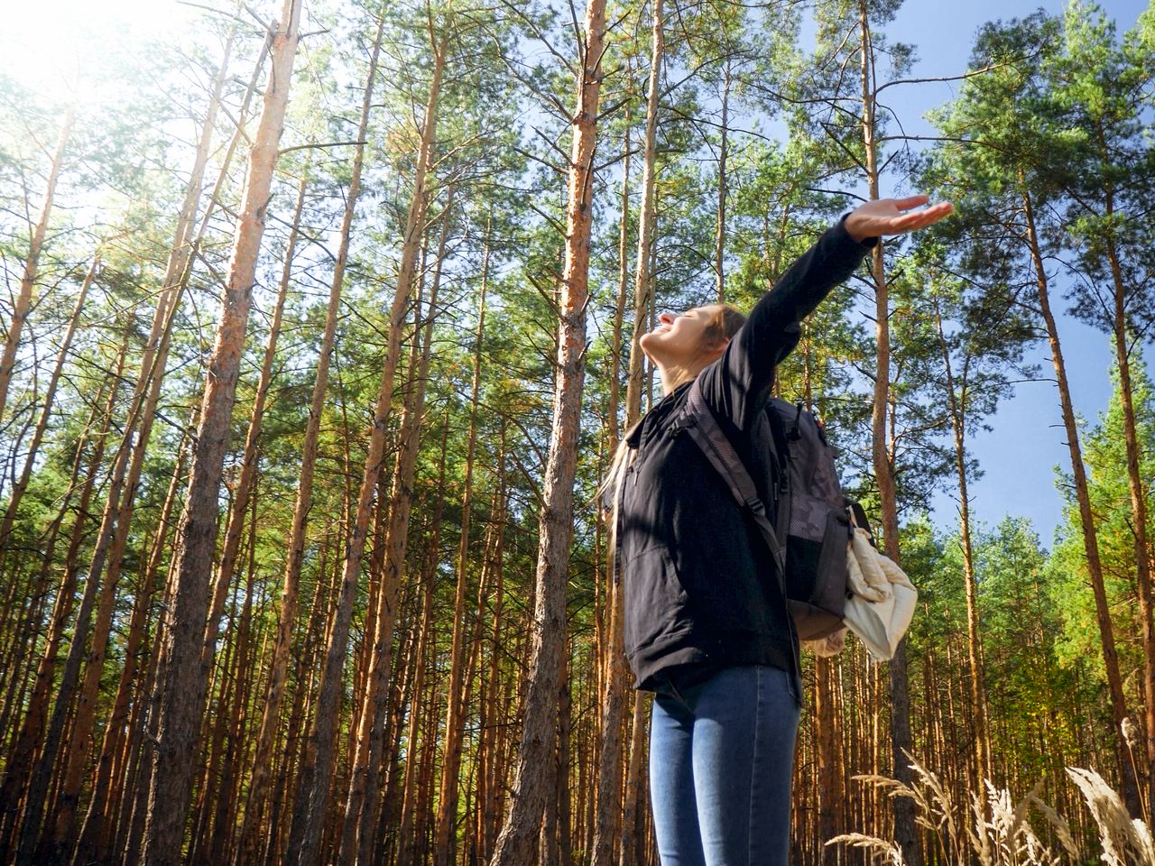 Wandern im Harz