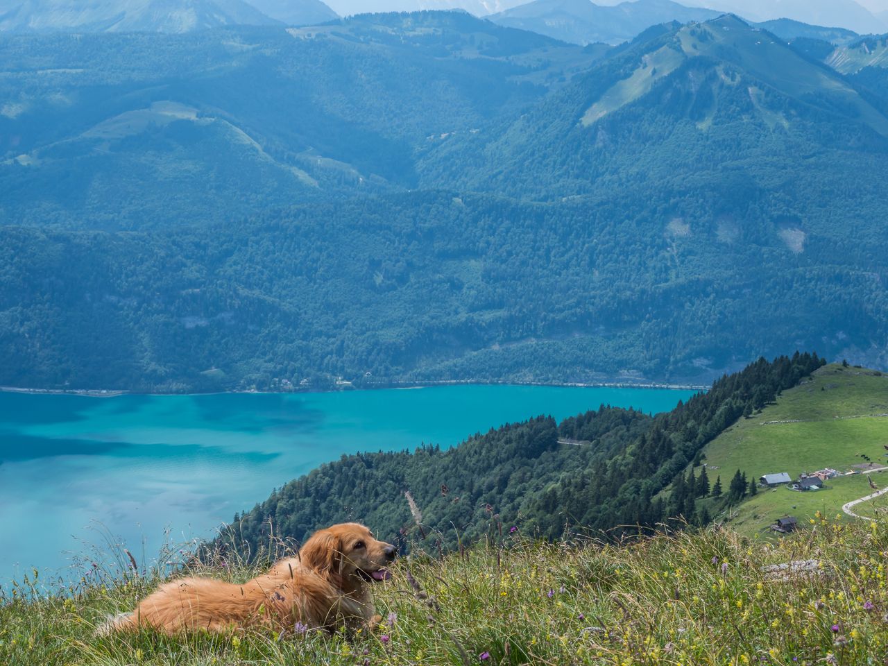 Auf ins Salzkammergut - 7 Tage Berge pur