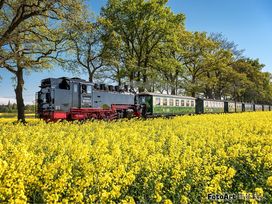 Familienurlaub a. Rügen, 3 Tage inkl. 3x Gutschein