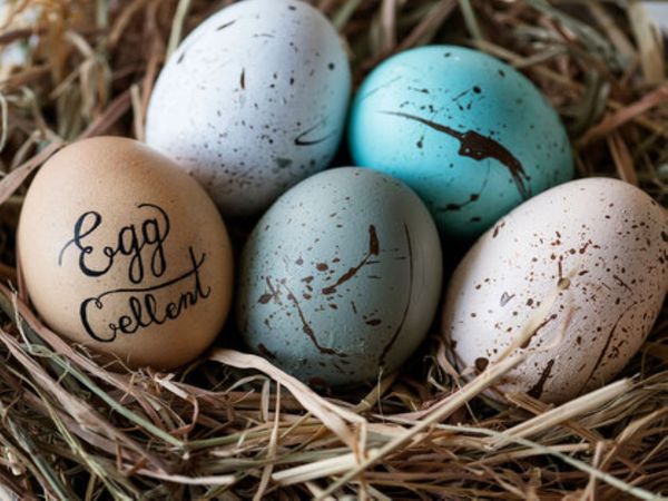 4- Tage / Ostern an der Wesermündung in Bremerhaven Frühstück