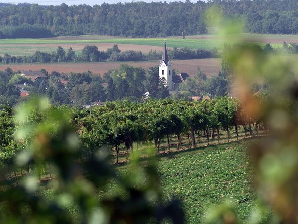 Urlaub an der Donau / 3 Tage mit Frühstück im Altes Kloster Hotel