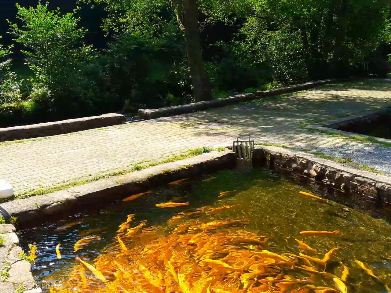 Abschalten und die Natur genießen Kurpark