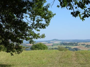 Urlaubswoche im Odenwald: Fachwerk und Weinberge