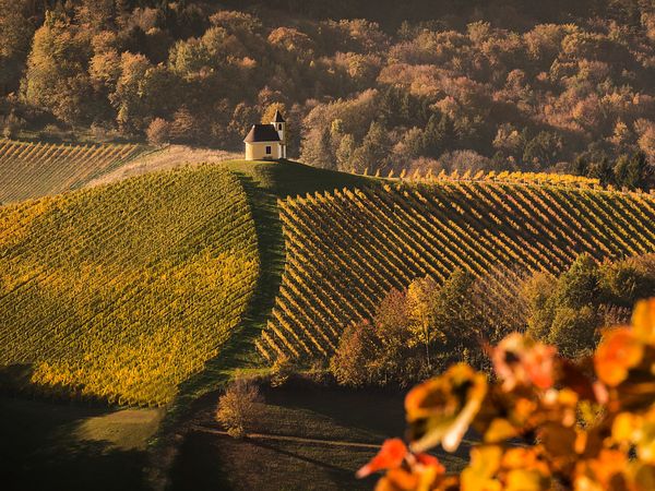 Erholsame Auszeit im Steirischen Hügelland - 4 Tage in Bad Gleichenberg, Steiermark inkl. Frühstück