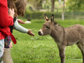 Tierpark Sababurg mit Hotel