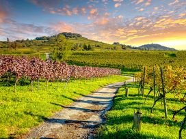 89 Euro-Sommer-Deal - 3 Tage Odenwald & Bergstraße