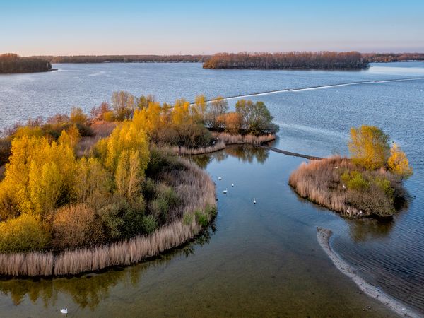 4 Tage Natur, Kunst & Erholung mitten in der Veluwe in Nunspeet Halbpension